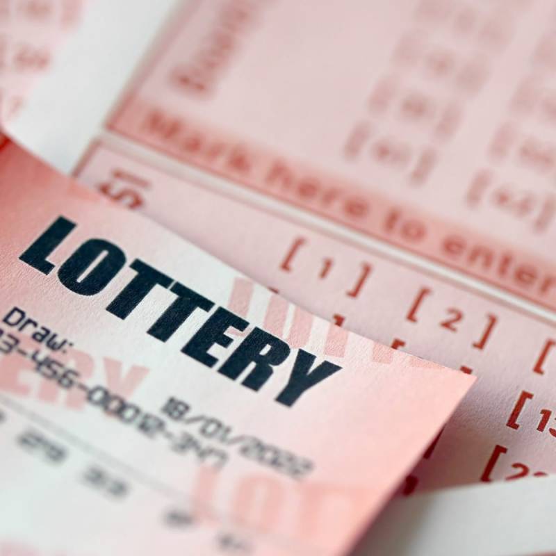 Cơ chế cá cược và tỷ lệ lợi nhuận