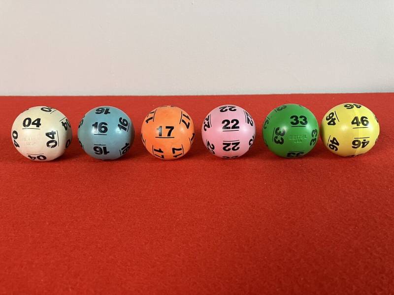 Bạch thủ lô là gì?